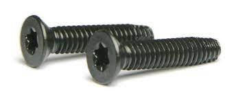 Torx Floor Board Screws